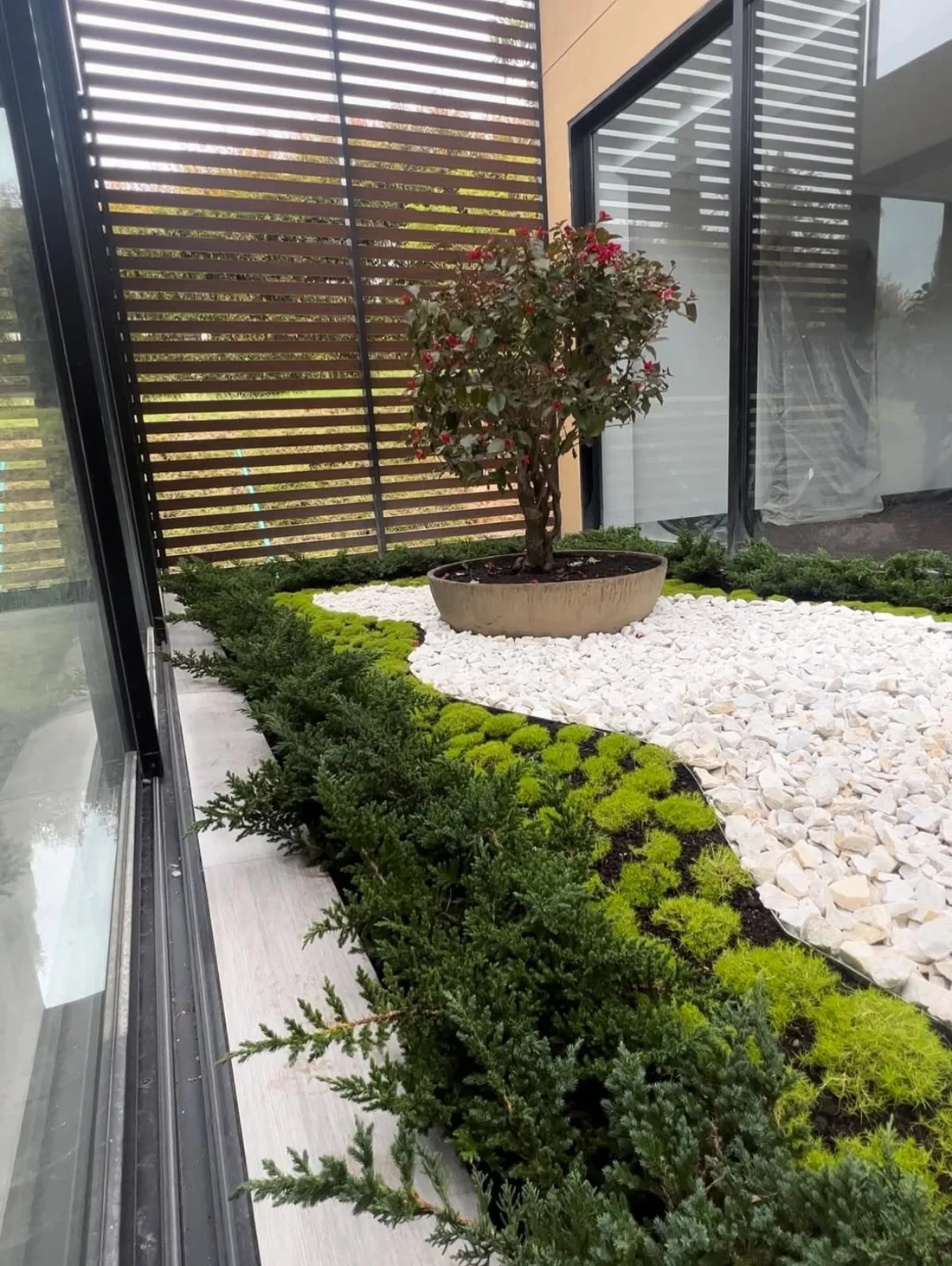 Jardín en terraza con bonsais y helechos